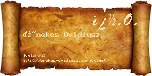 Énekes Ovidiusz névjegykártya